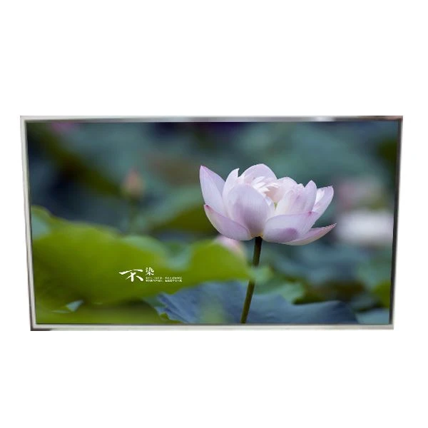 49. 0 인치 LD490EQE-FPA1 TFT LCD 화면
